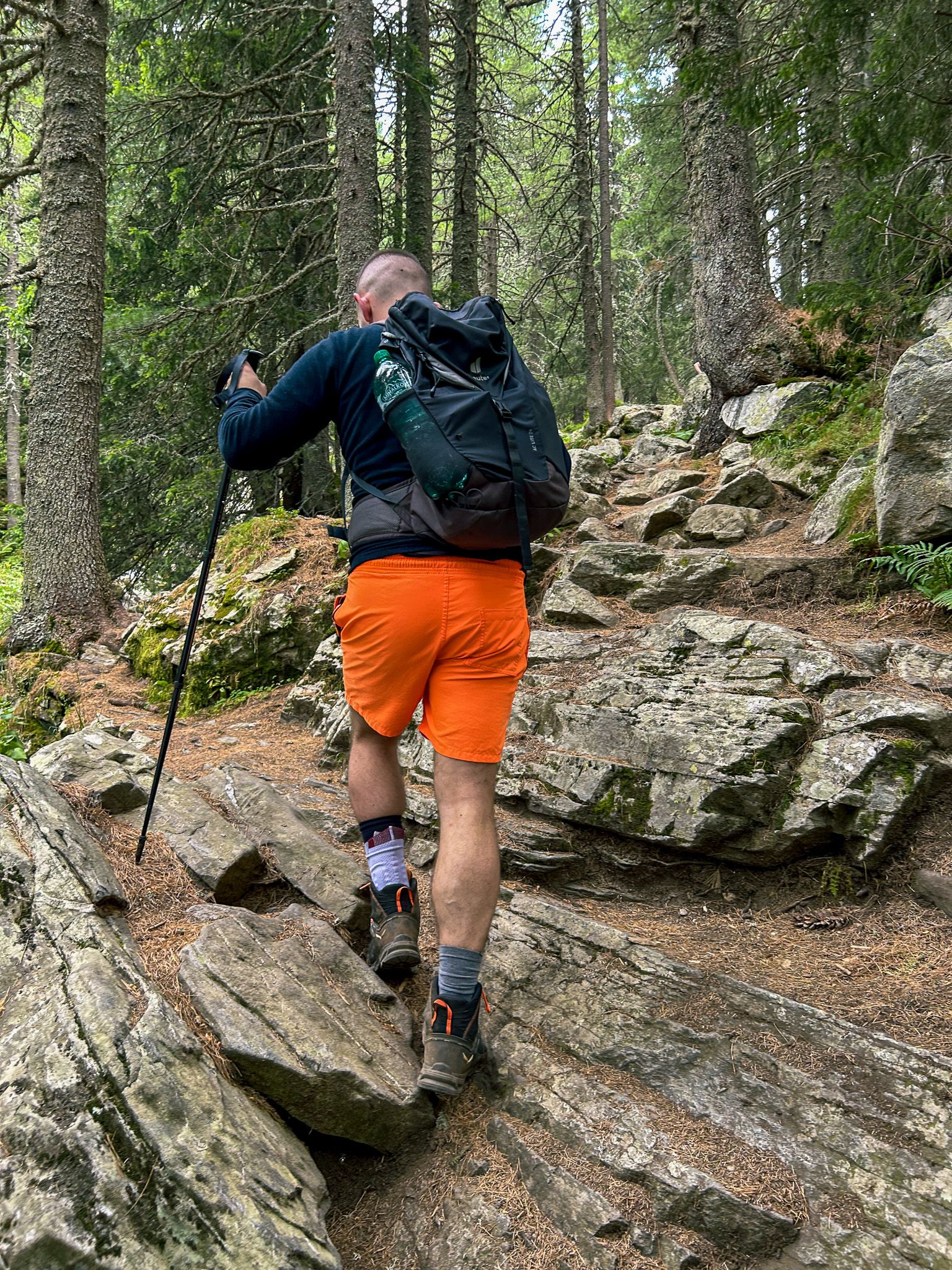 wanderung_hinten.jpg